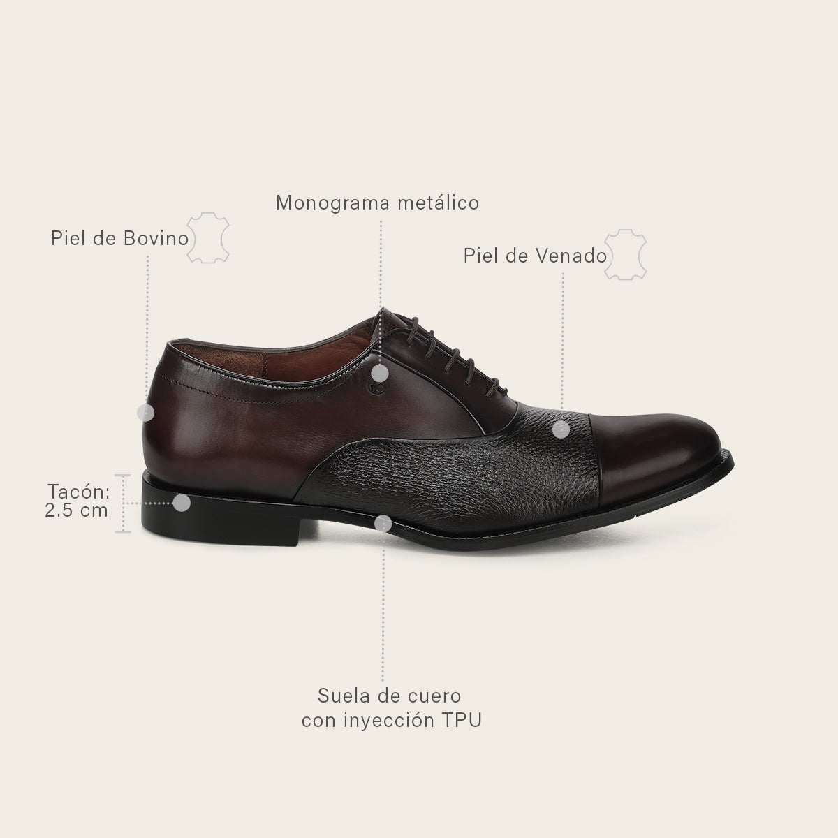 Zapato de vestir tipo Oxford en piel genuina de venado