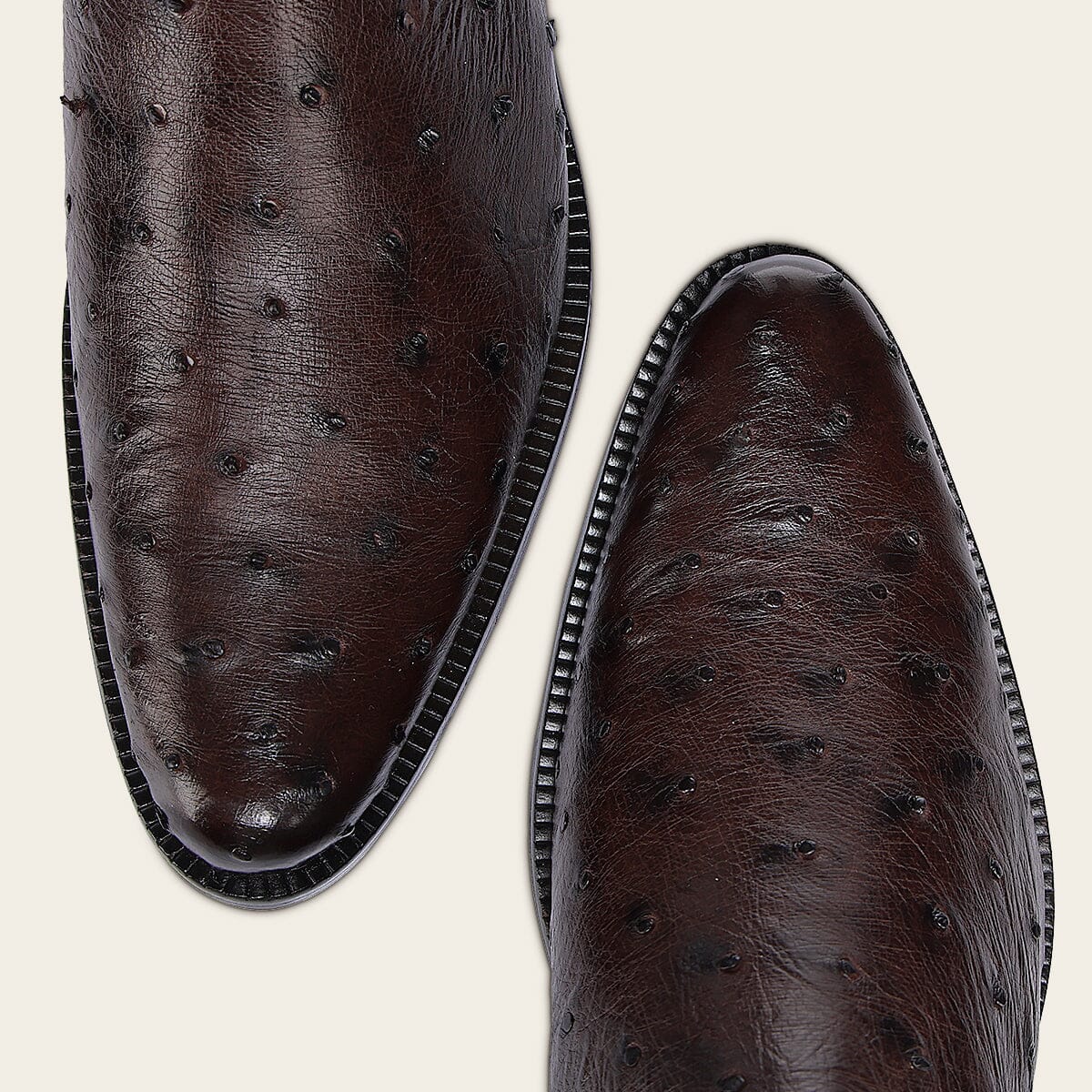 Botin de vestir en piel genuina de avestruz