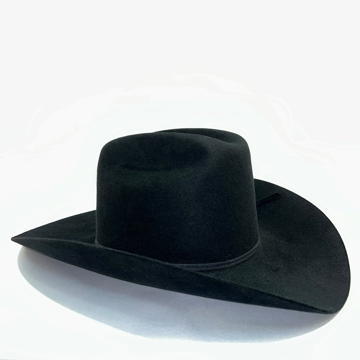 SOMBRERO DE PELO COLOR NEGRO